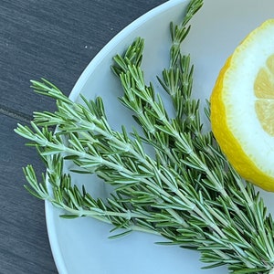 May include: A bunch of fresh green rosemary sprigs and a slice of lemon on a white plate.