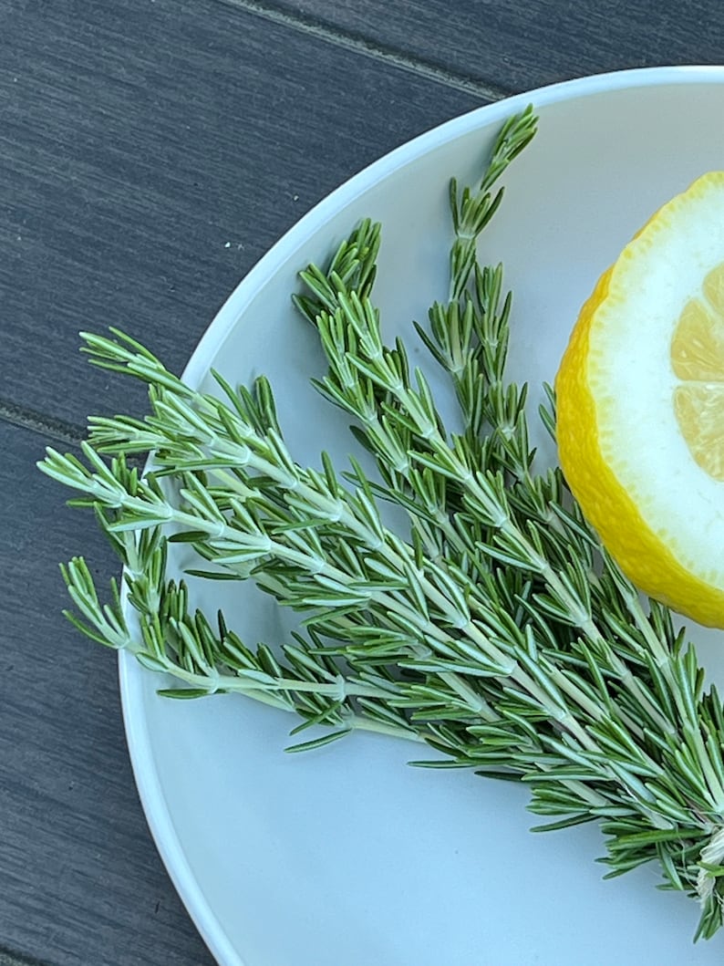 May include: A bunch of fresh green rosemary sprigs and a slice of lemon on a white plate.