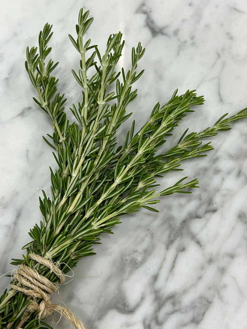 May include: A bunch of fresh rosemary tied together with twine. The rosemary is green and has a light green hue. The rosemary is on a white marble surface.