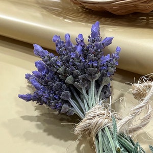Freshly Cut English Lavender Bundle for Decor & Aromatherapy, fresh lavender, organic lavender, lavender bundle, fresh herbs, flower decor
