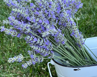 Freshly cut French Provence Lavender bundle, shower bundle, Lavender, Flower arrangement, Lavender bunch, Limited time, best bloom June 2026