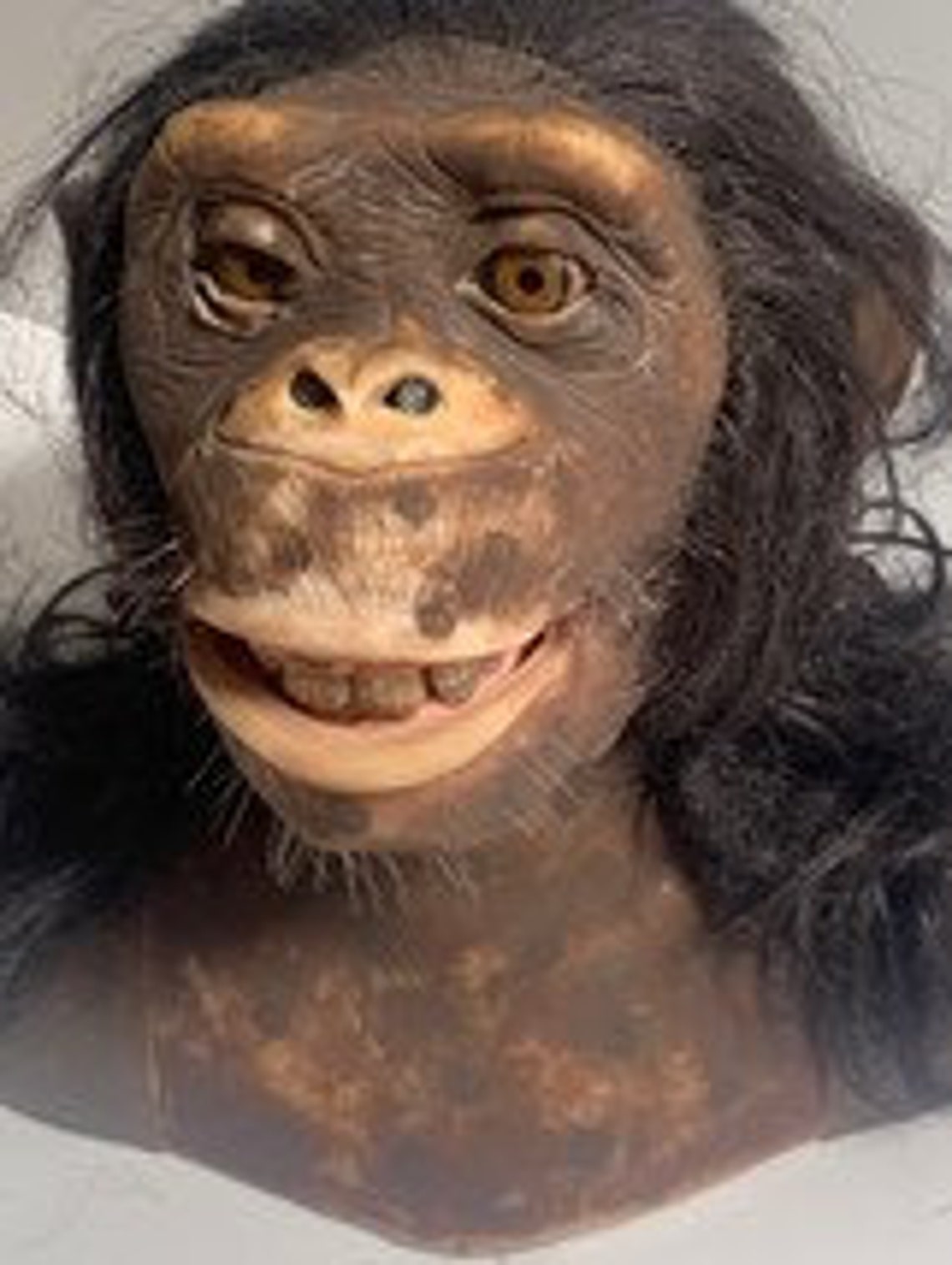 Wowwee Alive Chimpanzee Animatronics W Remote Control Tested Etsy