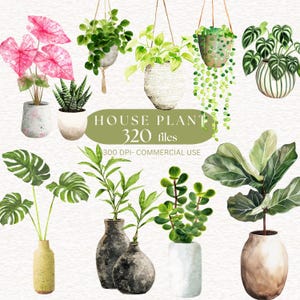 Minimal House Plant Clipart Tropical foliage PNG  Potted Houseplant Greenery Decor, Monstera leaf, Tree leaves, Summer Plant Botanical PNG