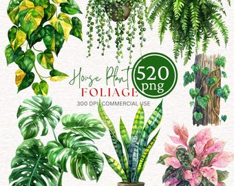 FOLLAJE TROPICAL Clipart Cactus Suculentas Vegetación Decoración, Hoja de Monstera, Hojas de árboles, Planta de verano Planta de interior en maceta imagen Botánica PNG