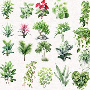 Puede incluir: Una colecci&oacute;n de 18 ilustraciones de acuarela de varias plantas verdes, incluyendo helechos, palmeras y enredaderas frondosas. Las ilustraciones est&aacute;n sobre un fondo blanco.