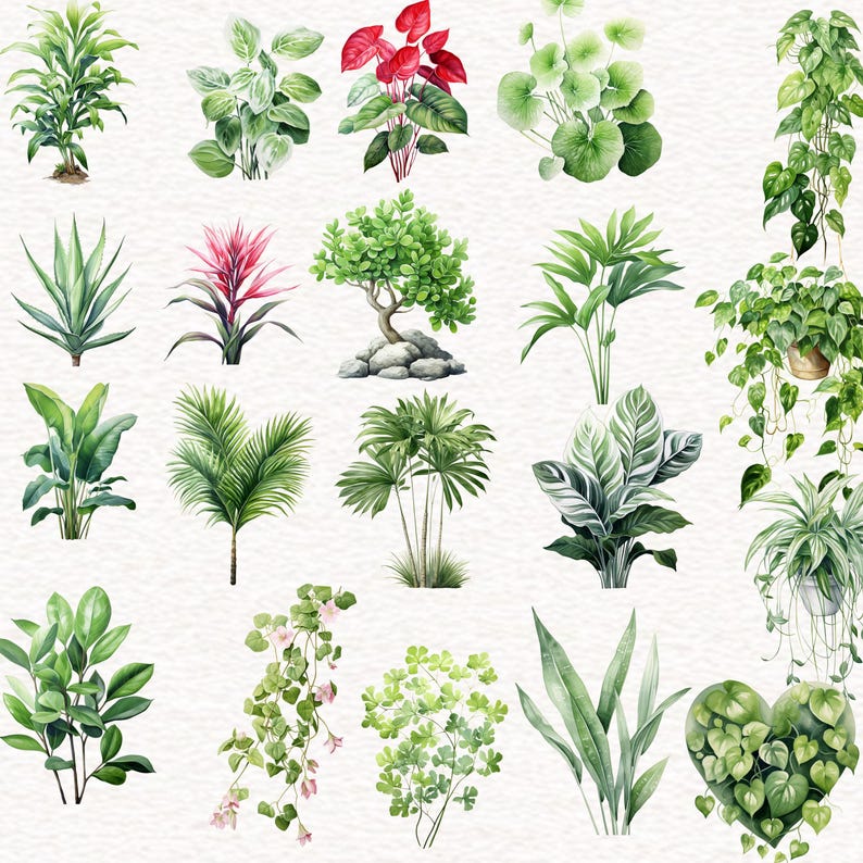 Puede incluir: Una colecci&oacute;n de 18 ilustraciones de acuarela de varias plantas verdes, incluyendo helechos, palmeras y enredaderas frondosas. Las ilustraciones est&aacute;n sobre un fondo blanco.