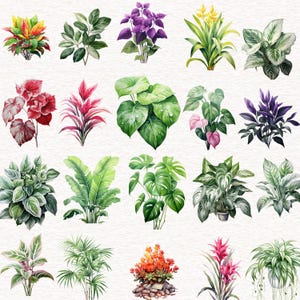 Puede incluir: Una colecci&oacute;n de 18 ilustraciones de acuarela de varias plantas y flores. Las ilustraciones son de varios colores, incluyendo verde, rojo, morado y amarillo. Las ilustraciones est&aacute;n dispuestas en una cuadr&iacute;cula sobre un fondo blanco.
