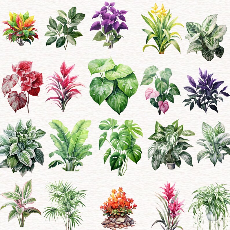Puede incluir: Una colecci&oacute;n de 18 ilustraciones de acuarela de varias plantas y flores. Las ilustraciones son de varios colores, incluyendo verde, rojo, morado y amarillo. Las ilustraciones est&aacute;n dispuestas en una cuadr&iacute;cula sobre un fondo blanco.
