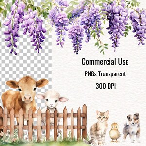 May include: Watercolor illustration featuring a cow, lamb, cat, chick, and puppy behind a wooden fence, with hanging purple wisteria and the text "Commercial Use PNGs Transparent 300 DPI".