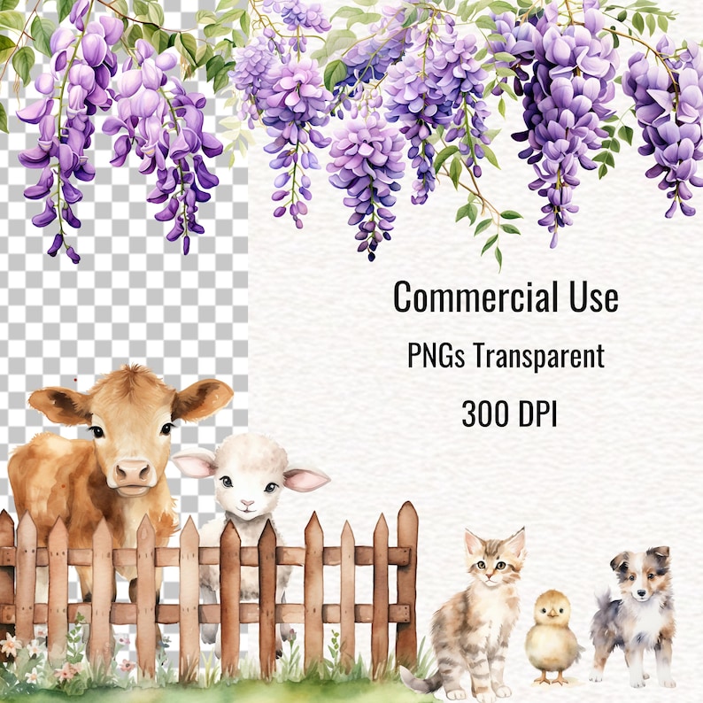 May include: Watercolor illustration featuring a cow, lamb, cat, chick, and puppy behind a wooden fence, with hanging purple wisteria and the text "Commercial Use PNGs Transparent 300 DPI".