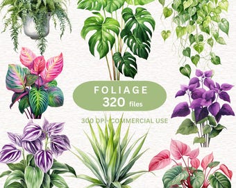 320 FOLIAGE Clipart, Tropical Foliage, Greenery Decor, Monstera leaf, Tree leaves, Summer Plant Clipart, Houseplant clipart, Botanical , PNG