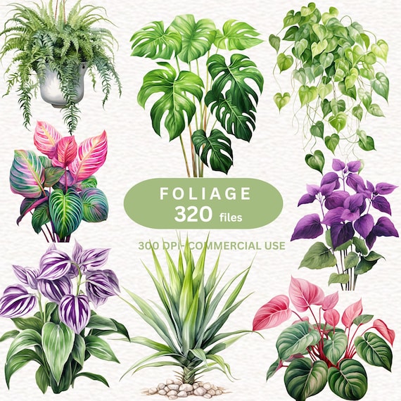 320 FOLIAGE Clipart, Tropical Foliage, Greenery Decor, Monstera leaf, Tree leaves, Summer Plant Clipart, Houseplant clipart, Botanical , PNG