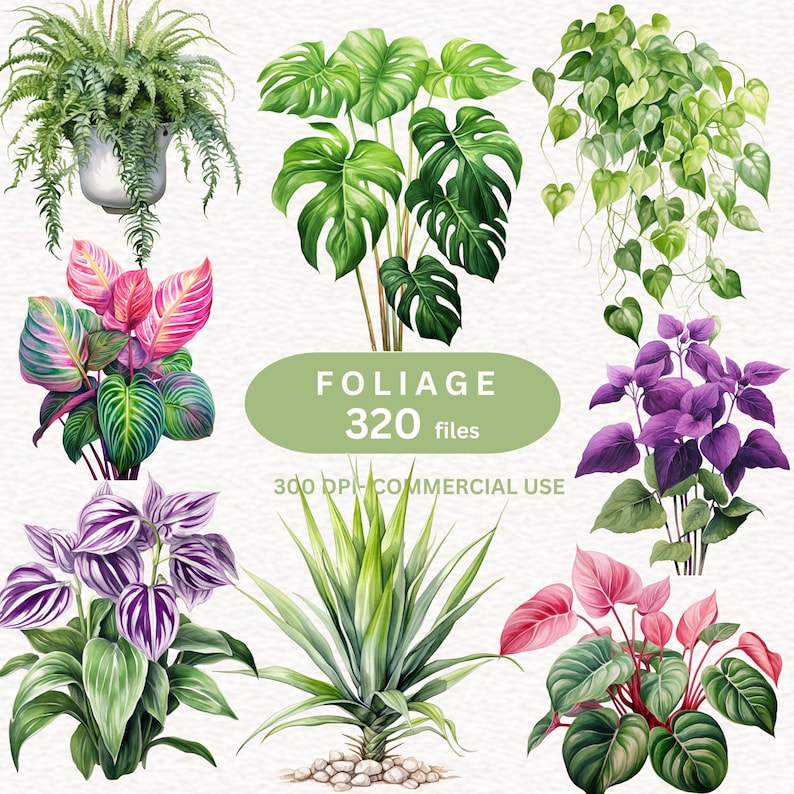 FOLIAGE Clipart, Tropical Foliage, Greenery Decor, Monstera leaf, Tree leaves, Summer Plant Clipart, Houseplant clipart, Botanical , PNG
Jungle Foliage Clipart
Tropical Border Png
Clipart Leaf
Greenery Watercolor Png
Green Clipart
Leaf Watercolor Clipart
Monstera Leaves Clipart

Houseplant Clipart

Foliage Clipart

Tropical Leaves Clipart

Greenery Clipart

Greenery Clipart Commercial Use

Monstera Leaf Clip Art

Watercolor Plant Clipart
Greenery Watercolor Clipart
Tropical Plants Clipart