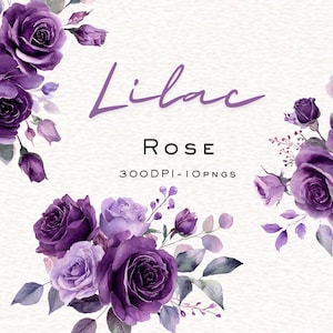 May include: A watercolour floral design with purple roses and leaves. The image includes the word "Lilac" in a script font and the word "Rose" in a serif font. The image also includes the text "300DPI-10PNGS".