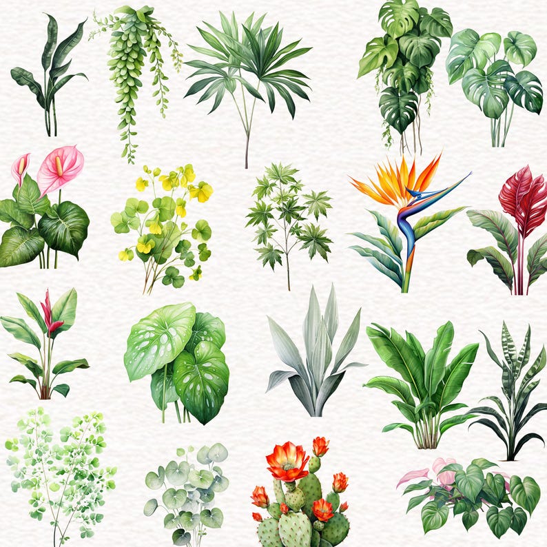 Puede incluir: Ilustraciones de acuarela de varias plantas y flores tropicales, incluyendo un ave del para&iacute;so, un cactus, una palmera y un helecho.