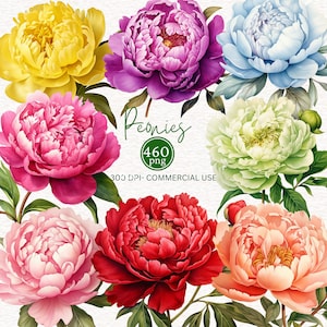 460 Aquarell Pfingstrose Clipart Schwarz Pfingstrosen Rosa Floral Clipart Violette Blumen PNG Blau Pfingstrosen Clipart Rote Pfingstrose Clipart Orange Blume