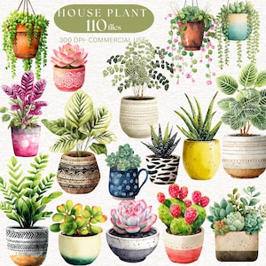 Watercolor House Plant Clipart Home plant Potted Plant Illustration Greenery Botanical Graphic Succulent Cactus Tropical Foliage Clip art
