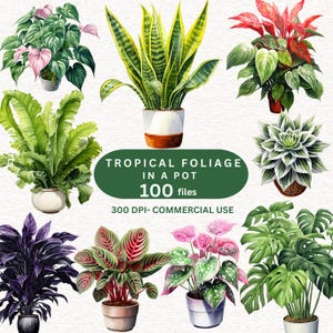 100 TROPICAL FOLIAGE in a Pot Clipart, FOLIAGE Clipart, Greenery Decor, Monstera leaf, Tree leaves, Summer Plant Clipart, Houseplant clipart