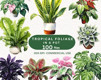 100 imágenes prediseñadas de FOLLAJE TROPICAL en maceta, imágenes prediseñadas de FOLLAJE, decoración con vegetación, hojas de monstera, hojas de árboles, imágenes prediseñadas de plantas de verano, imágenes prediseñadas de plantas de interior