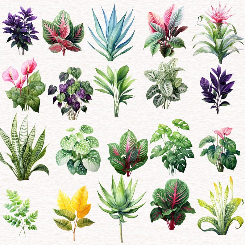 Puede incluir: Una colecci&oacute;n de 20 ilustraciones de acuarela de diversas plantas tropicales, incluyendo helechos, suculentas y plantas de hoja. Las ilustraciones est&aacute;n en una variedad de colores, incluyendo verde, azul, rojo y morado.