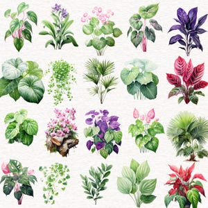Puede incluir: Ilustraciones de acuarela de varias plantas y flores, incluyendo helechos, orqu&iacute;deas, hojas de palmera y follaje tropical. Las ilustraciones est&aacute;n pintadas en tonos de verde, morado, rosa y rojo.