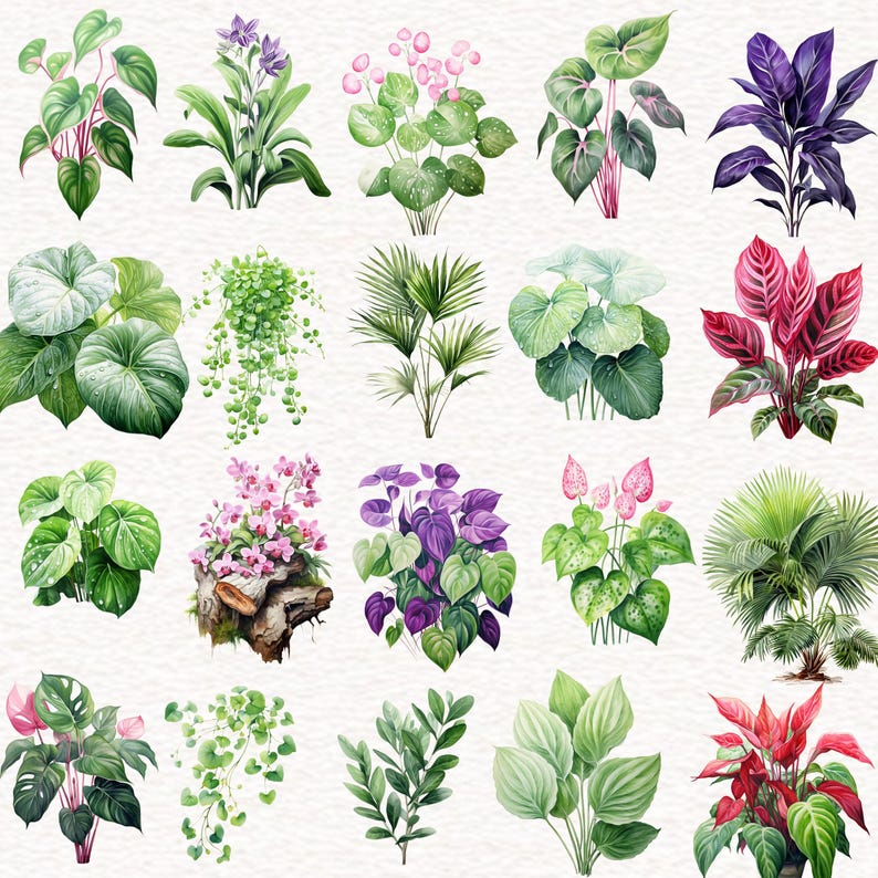 Puede incluir: Ilustraciones de acuarela de varias plantas y flores, incluyendo helechos, orqu&iacute;deas, hojas de palmera y follaje tropical. Las ilustraciones est&aacute;n pintadas en tonos de verde, morado, rosa y rojo.
