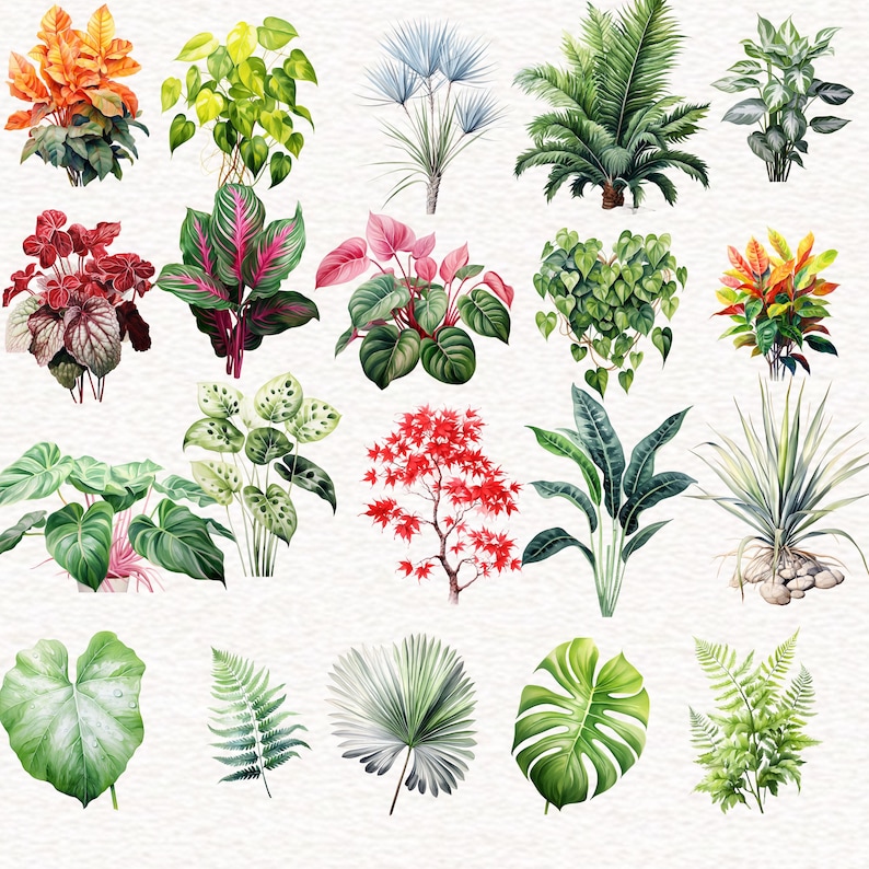 Puede incluir: Una colecci&oacute;n de 20 ilustraciones de acuarela de varias plantas y hojas. Las ilustraciones presentan una variedad de colores, incluyendo verde, rojo, naranja y azul. Las plantas se representan en un estilo realista, con detalles intrincados.