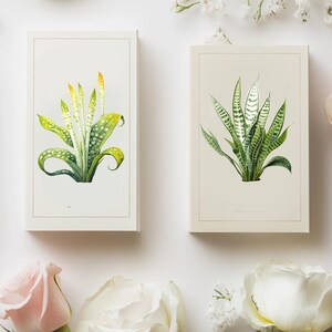 Puede incluir: Dos ilustraciones bot&aacute;nicas enmarcadas de plantas. La primera ilustraci&oacute;n presenta una planta verde con manchas amarillas y blancas. La segunda ilustraci&oacute;n presenta una planta verde con rayas blancas.