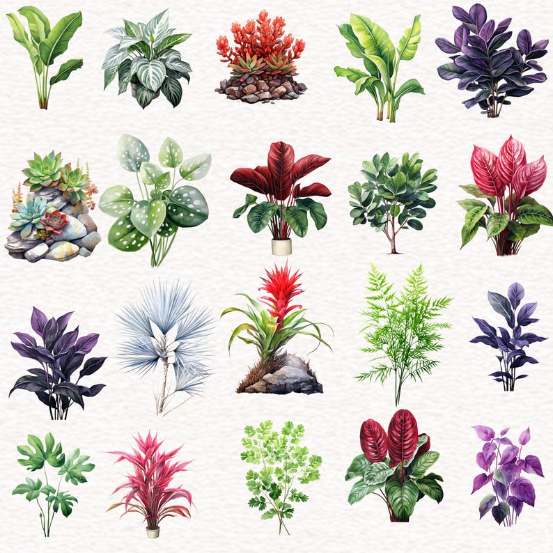 Puede incluir: Una colecci&oacute;n de 20 ilustraciones de acuarela de diversas plantas y flores. Las ilustraciones est&aacute;n en una variedad de colores, incluyendo verde, rojo, morado y blanco. Las plantas se representan en un estilo realista, con hojas y flores detalladas.