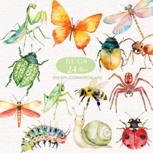 Spring Bugs Clipart, Watercolor  Cute Insects  Png, Spring Insects,  Little Bugs PNG , Nursery Garden