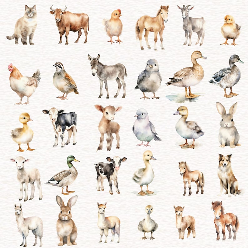 150 Watercolor Farm Animals Clipart, Cute Farm Clipart, Animal Clipart ...