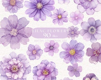 Clipart di fiori di lillà ad acquerello, clipart di fiori viola pastello, clipart di fiori in fiore PNG, clipart di fiori lilla, immagine floreale, bouquet di lillà, fiori di lavanda