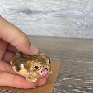 May include: A small, round, brown and tan painted figurine of a frog with a smooth, glossy finish. The frog has large black eyes and a small, open mouth with a bright pink tongue sticking out. It features a concave depression on its back.