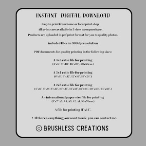 May include: A digital download graphic with text, including "INSTANT DIGITAL DOWNLOAD" and size options for printing. The text details file sizes in inches and centimeters, and includes the copyright notice for Brushless Creations.