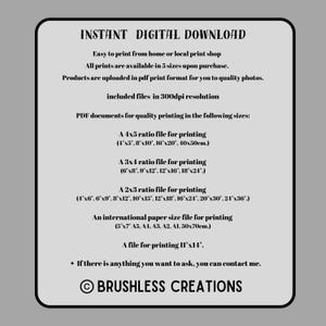May include: Instant digital download for printable PDF documents in various sizes, including 4x5, 3x4, 2x3 ratios, and international paper sizes. The text states that the files are in 300dpi resolution and are available in 5 sizes upon purchase. The text also states that the products are uploaded in PDF print format for quality photos. The text also includes the copyright symbol and the text "BRUSHLESS CREATIONS".