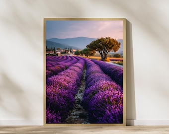 Lámina de campo de lavanda provenzal, paisaje rural francés (descarga digital)