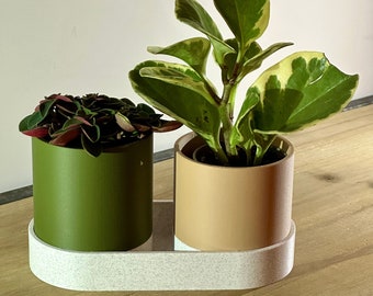 Indoor planter to personalize