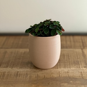 Flower pot cover with concealed drainer image 1