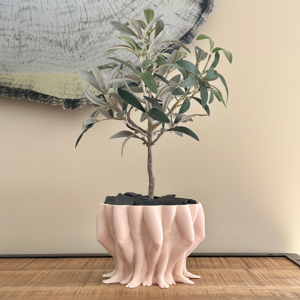 Jardinière pour plantes, fleurs et cactus en impression 3D / Cache pot original et moderne