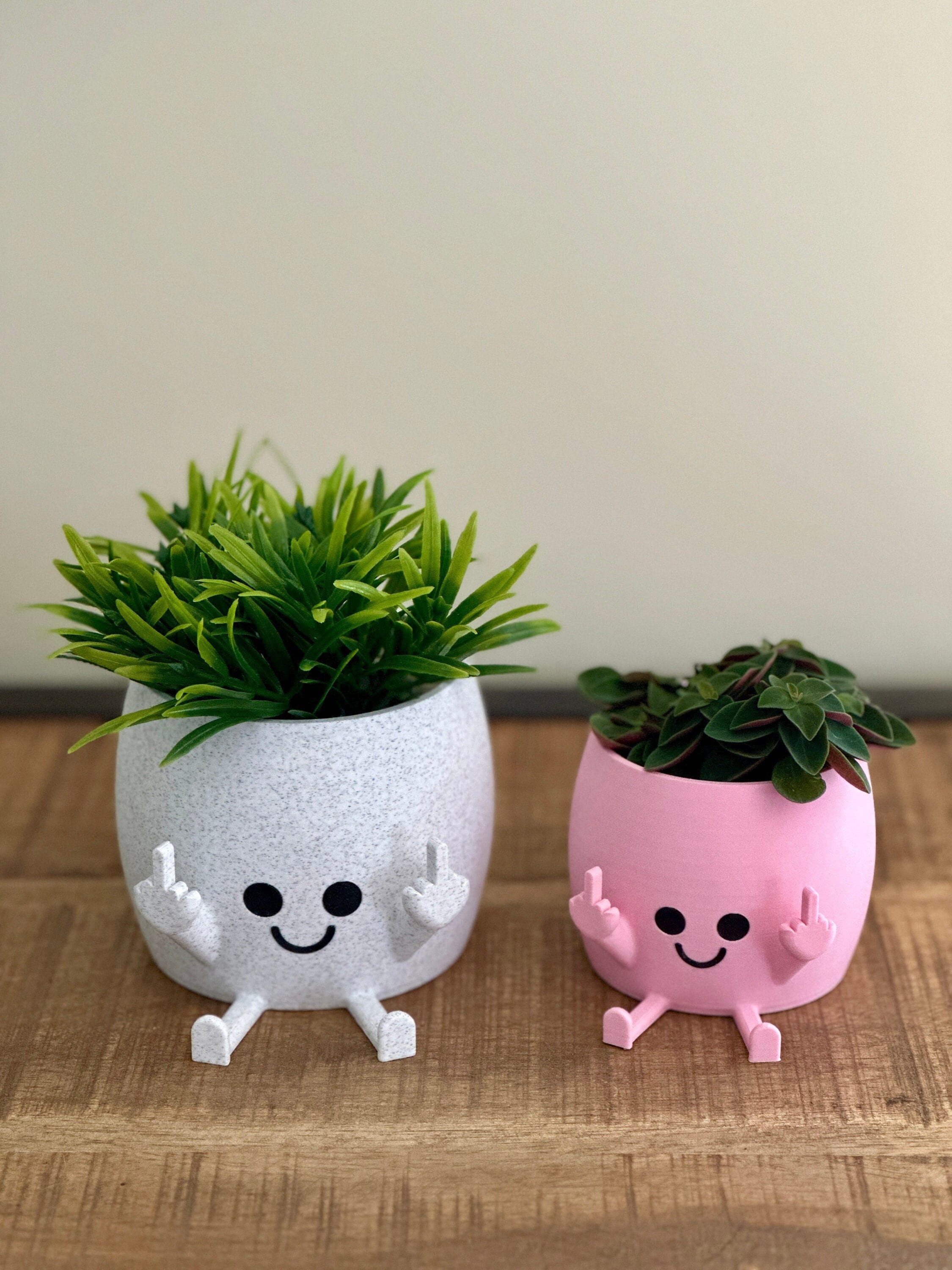 Cache pot doigt d'honneur rigolo en impression 3D Etsy France