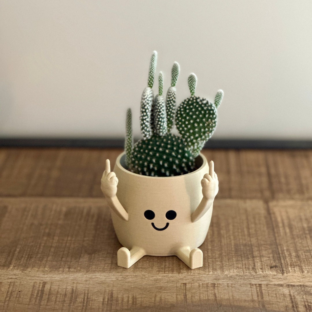 Cache pot doigt d'honneur rigolo en impression 3D version remix Etsy France