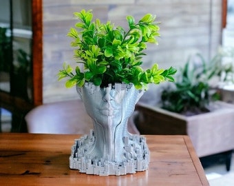 Man face planter / Modern vase / Original plant pot / 3D printed interior decoration