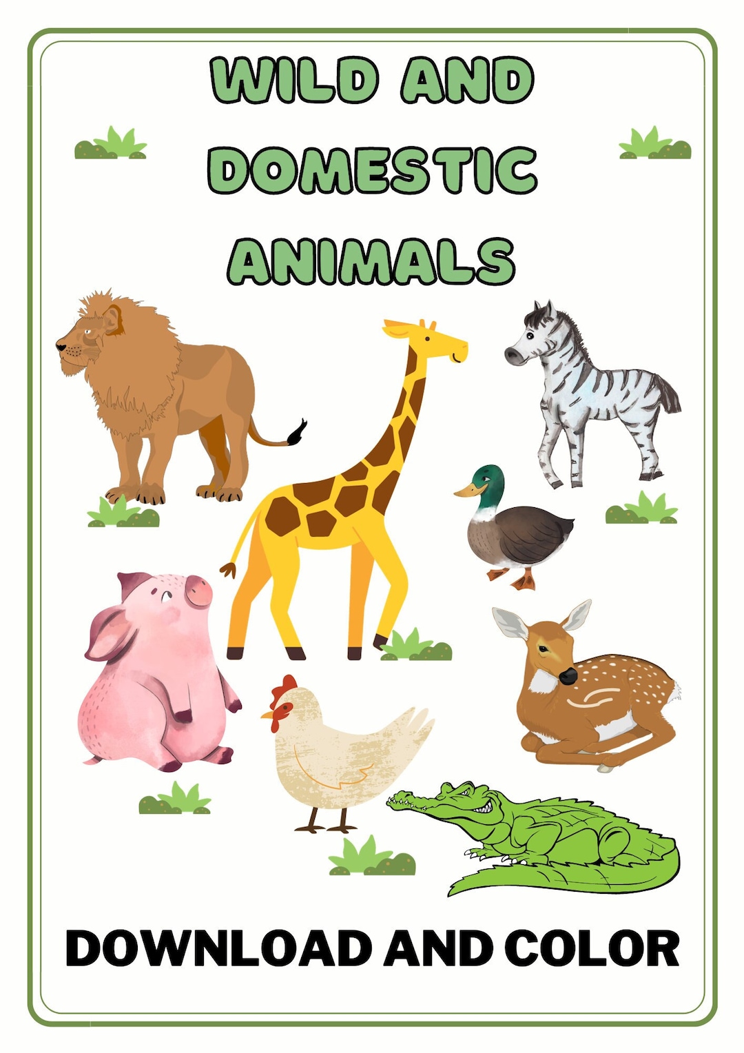 30 Wild and Domestic Animals Coloring Pages Cat Dog Pig Lion Zebra