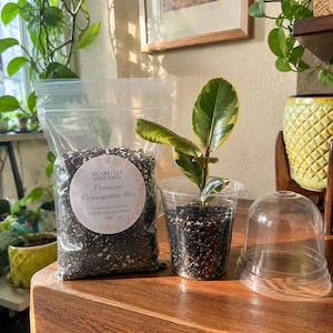 May include: A clear plastic bag of premium propagation mix, a small potted plant, and a clear plastic dome. The bag has a circular label with the text "Heartfelt Hideaway Premium Propagation Mix". The plant has green and yellow leaves.