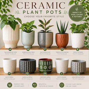 May include: A collection of ten ceramic plant pots labeled A through J, featuring various colors, textures, and shapes. The pots include ivory geometric, robin egg blue wavy, duo tone, terracotta diamond, white textured, pebble, charcoal, green, and gray.