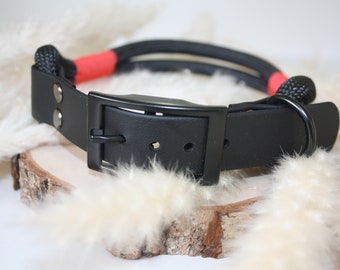 Tauleinenset - dog leash - rope collar