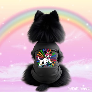 Pride Skate Dog-Pride Dog Shirt – LGBTQ+ Pet Apparel, Pride Outfit for Dogs, Equality Dog Outfit – Gay Pride Dog Apparel