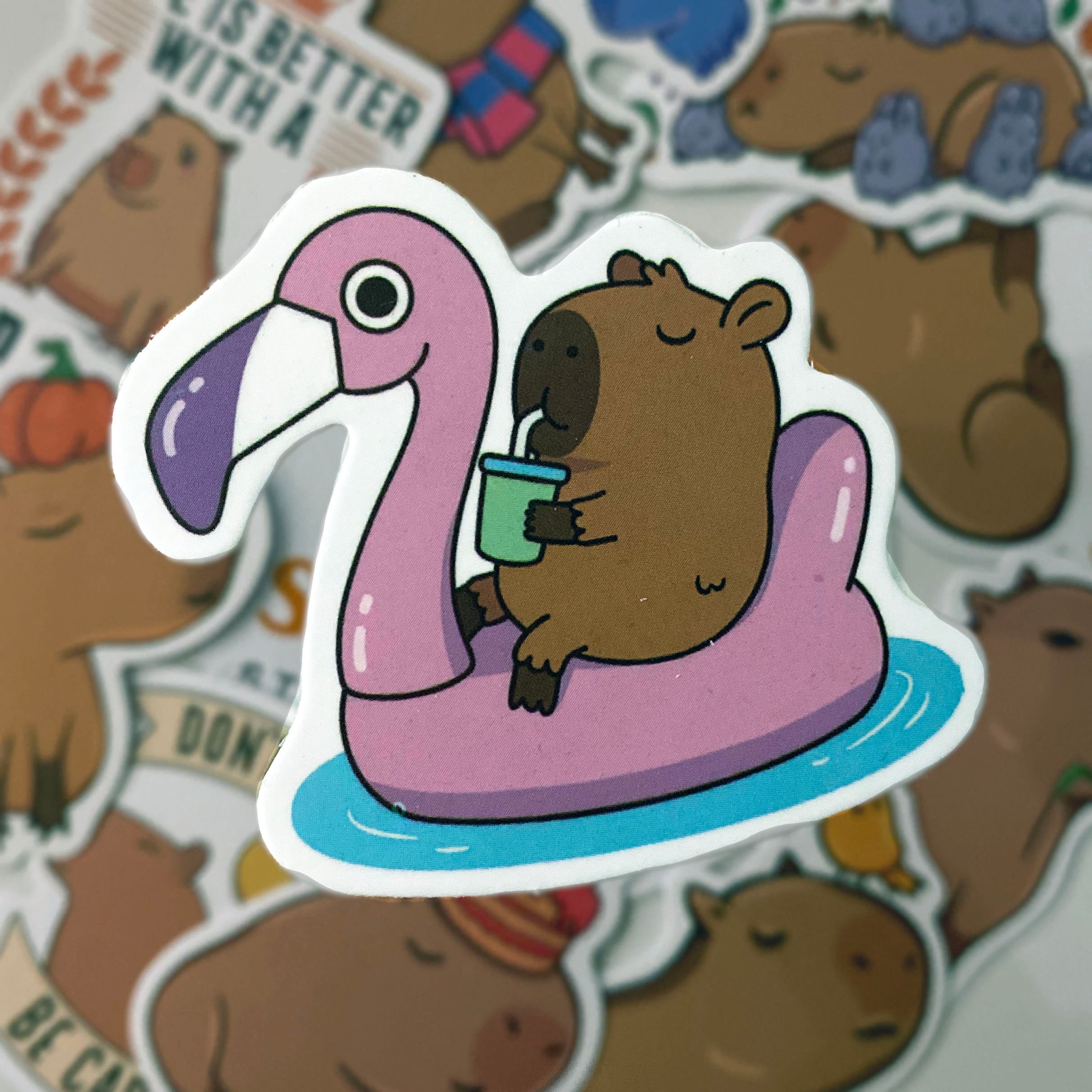 The Cute Capybara One - Capybara Sticker Pack - Cute Cappy Stickers ...