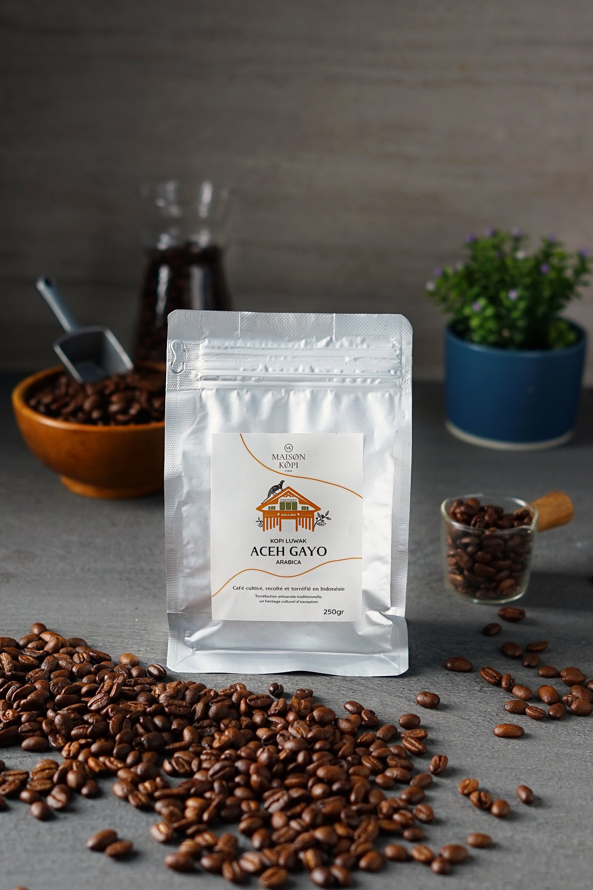 LUWAK LIAR ACEH GAYO