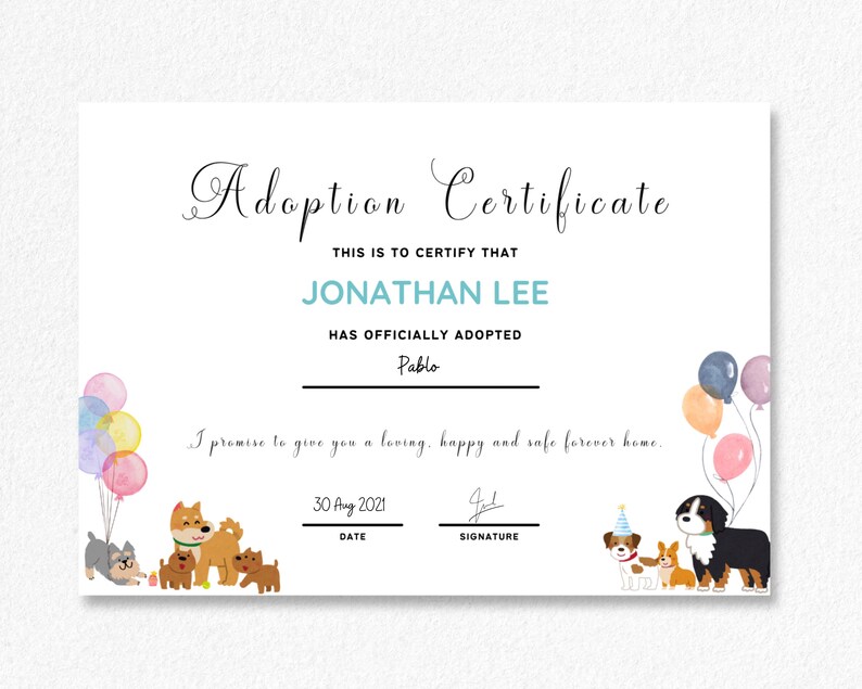 Dog Adoption Certificate • Editable Canva Template & Printable PDF ...